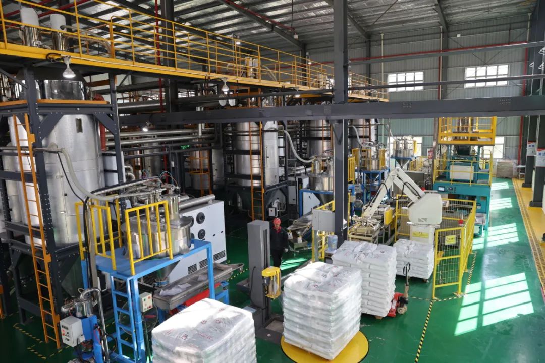 數字賦能“智”領未來 全市617家企業成功實現數字化轉型，合成材料制造邁入新時代